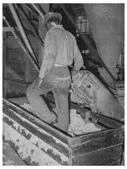 1939 Vintage Photo of Worker Packing Cotton Linters - Available at KNOWOL