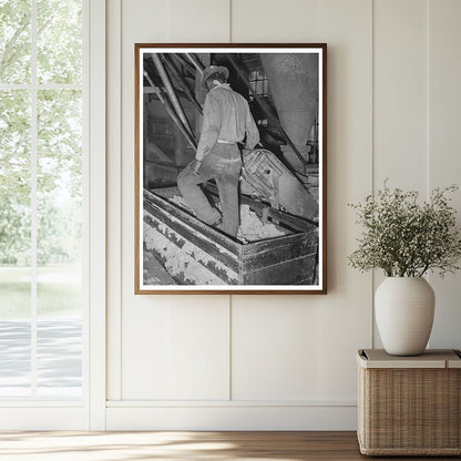 1939 Vintage Photo of Worker Packing Cotton Linters - Available at KNOWOL