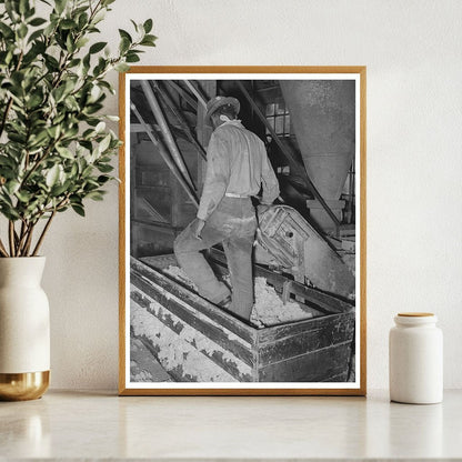 1939 Vintage Photo of Worker Packing Cotton Linters - Available at KNOWOL