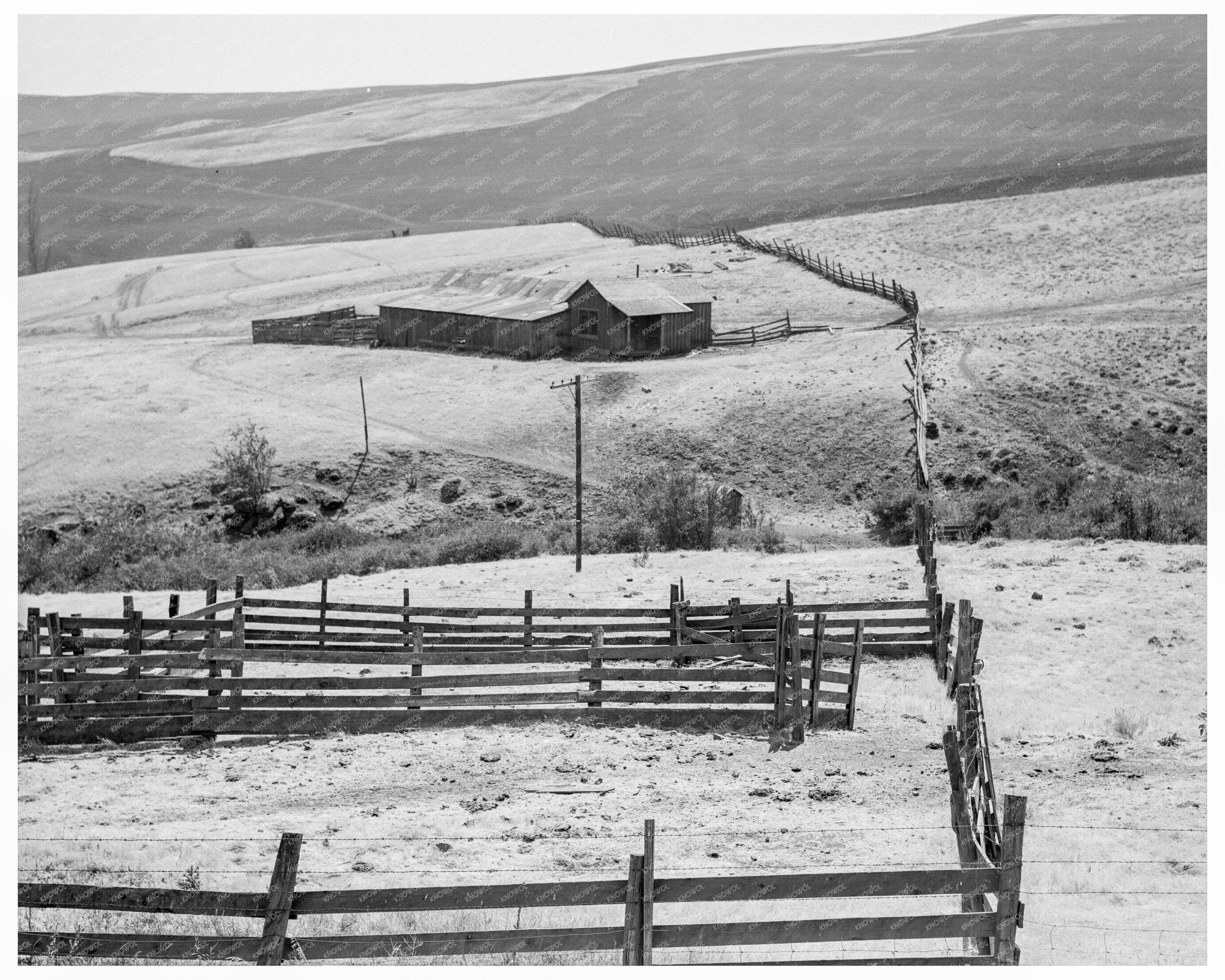 1939 Vintage Photograph of Klickitat County Stock Farm - Available at KNOWOL