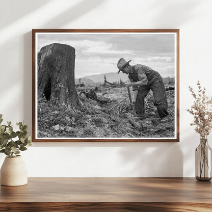 1939 Vintage Stump on Cut - Over Farm in Bonner County Idaho - Available at KNOWOL