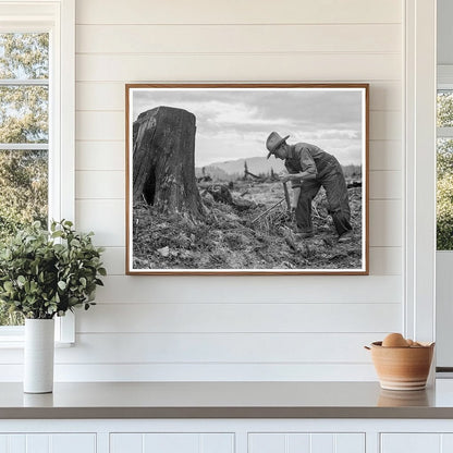 1939 Vintage Stump on Cut - Over Farm in Bonner County Idaho - Available at KNOWOL