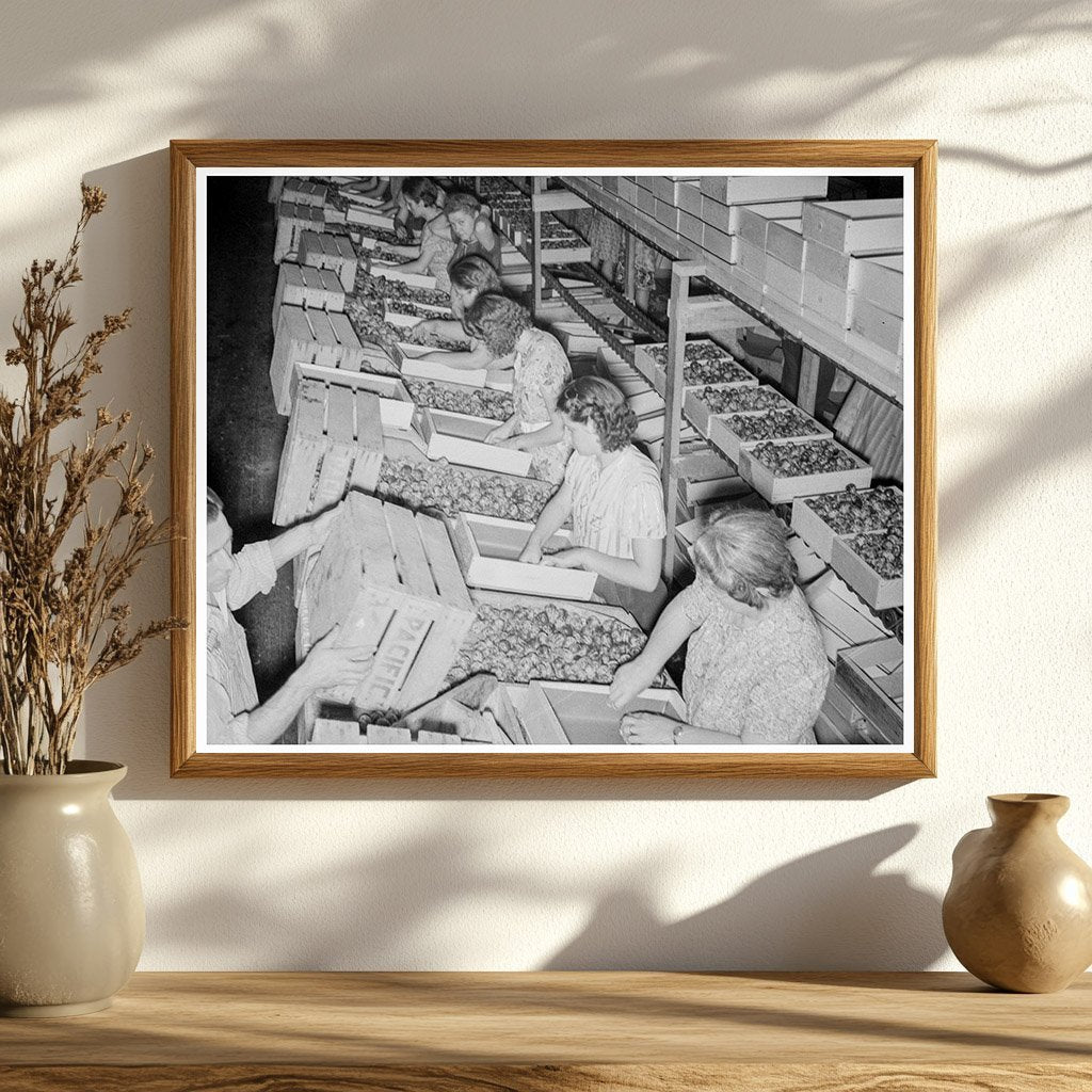 1939 Vintage Yakima Prune Packing Workers at Night - Available at KNOWOL