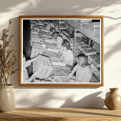 1939 Vintage Yakima Prune Packing Workers at Night - Available at KNOWOL