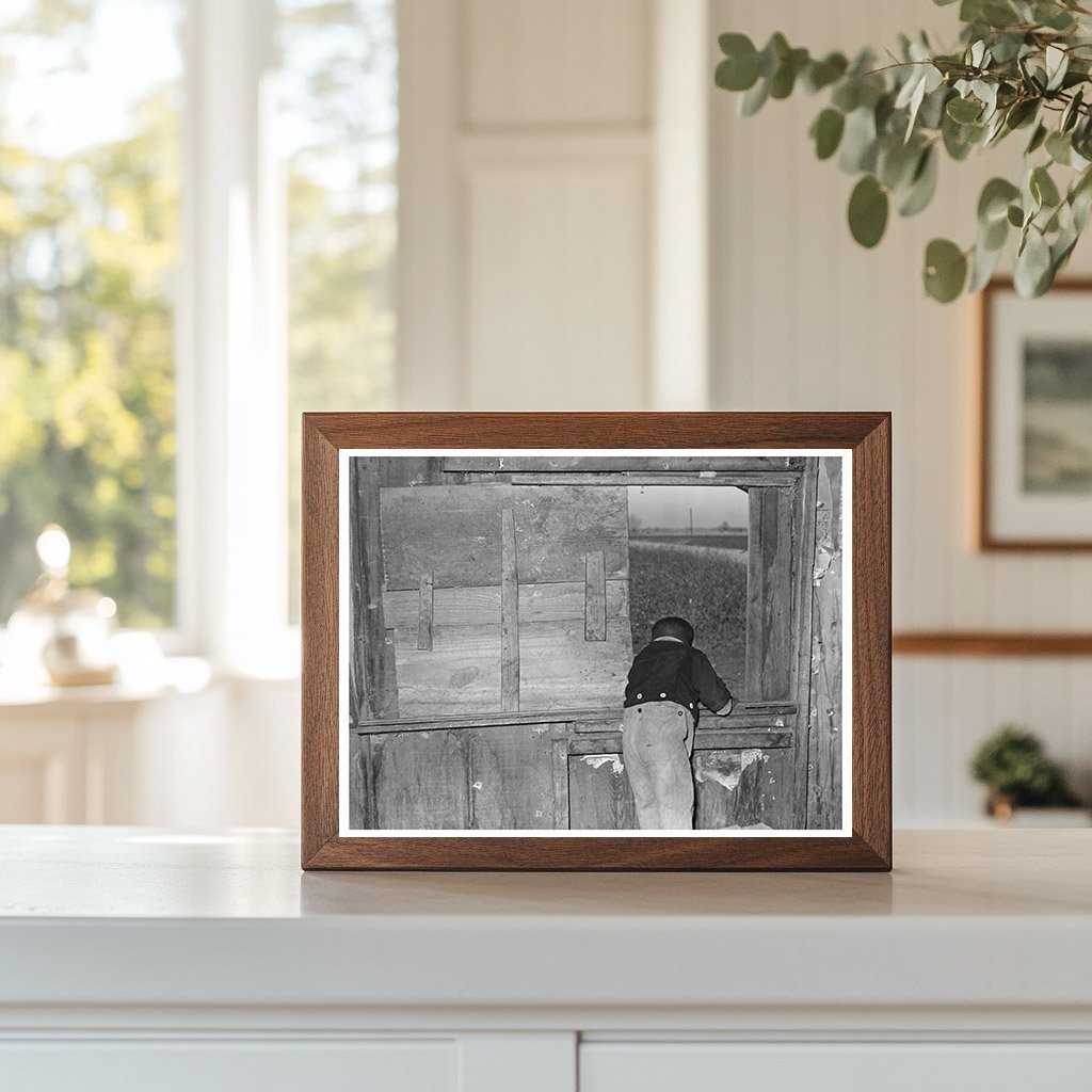 1939 Window in Sharecroppers Cabin Louisiana - Available at KNOWOL