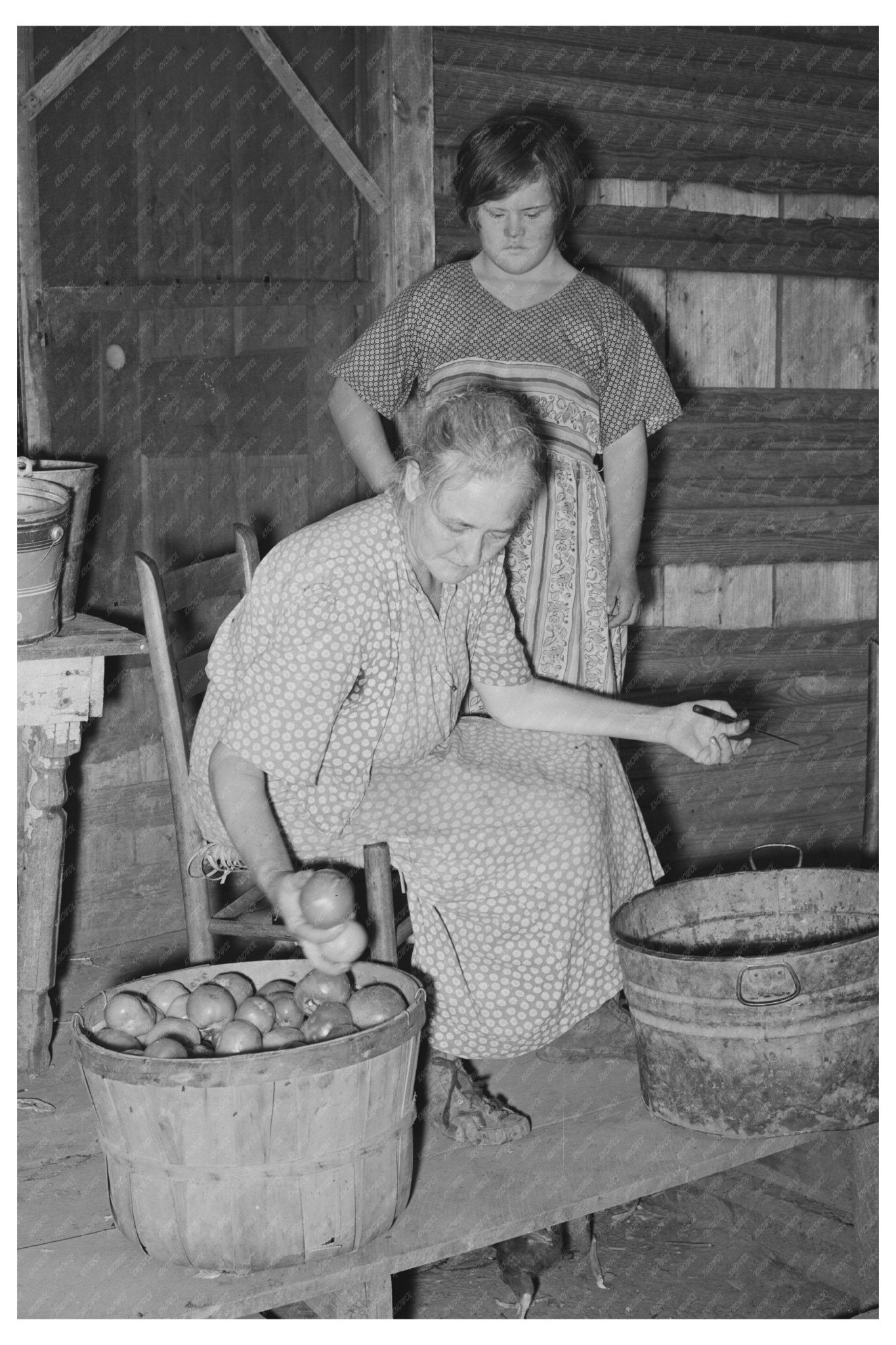 1939 Woman Picking Tomatoes in Muskogee Oklahoma - Available at KNOWOL