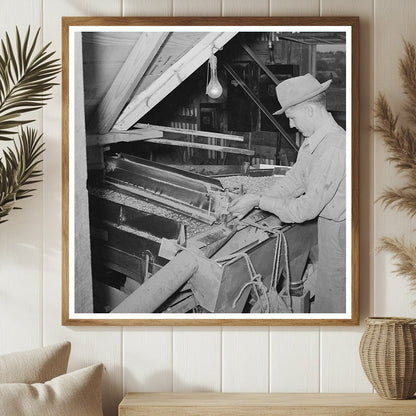 1939 Worker Adjusting Peanut Grader in Texas Plant - Available at KNOWOL