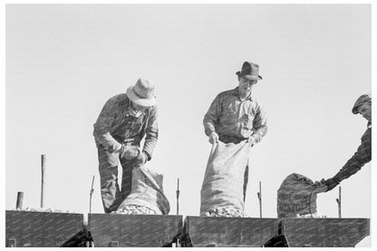 1939 Workers Loading Potato Planter in Kern County California - Available at KNOWOL