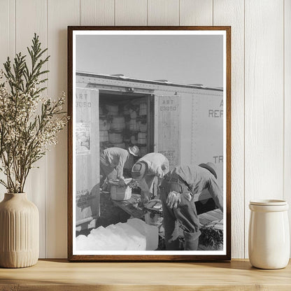 1939 Workers Loading Spinach in La Pryor Texas - Available at KNOWOL