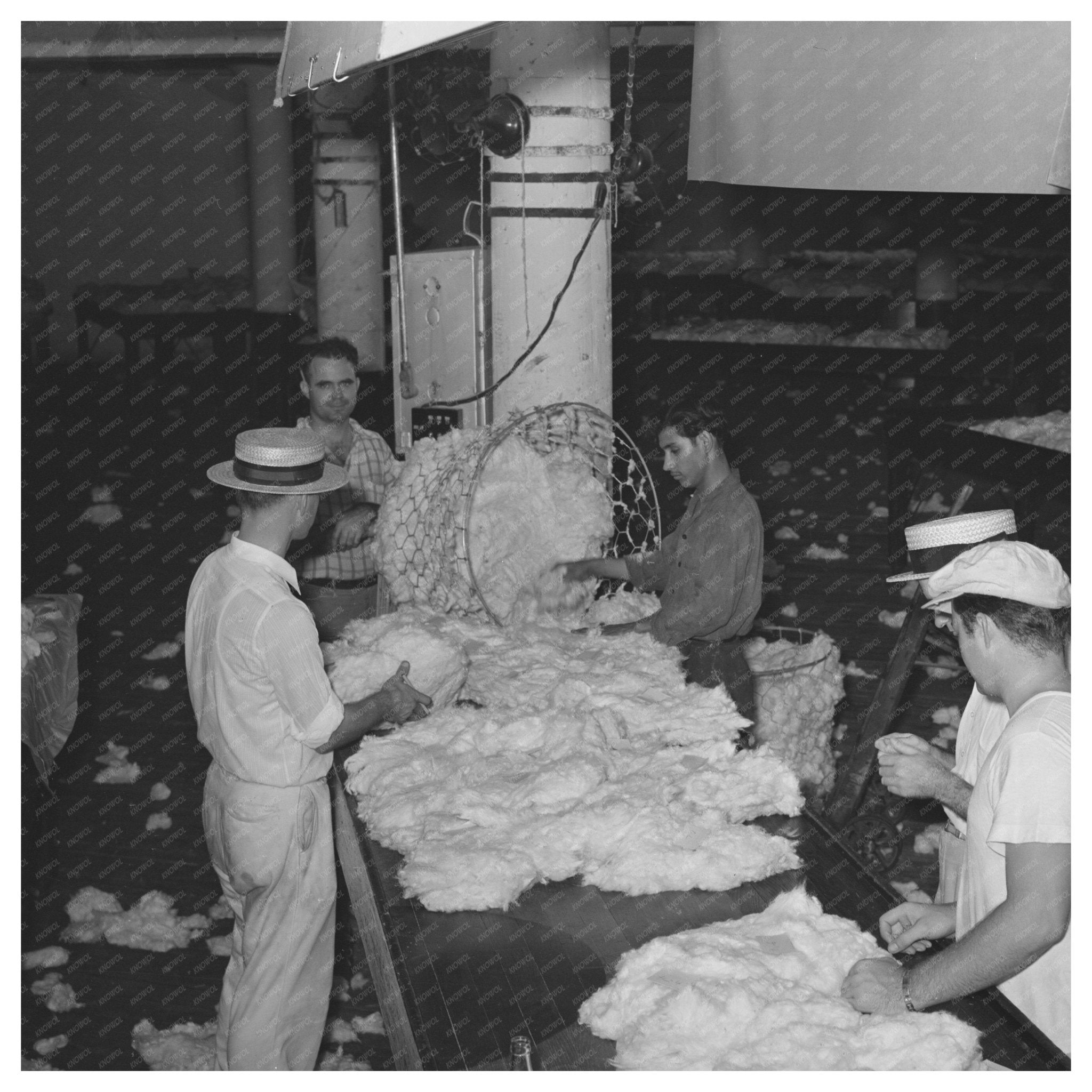 1939 Workers Sampling Cotton in Houston Texas - Available at KNOWOL