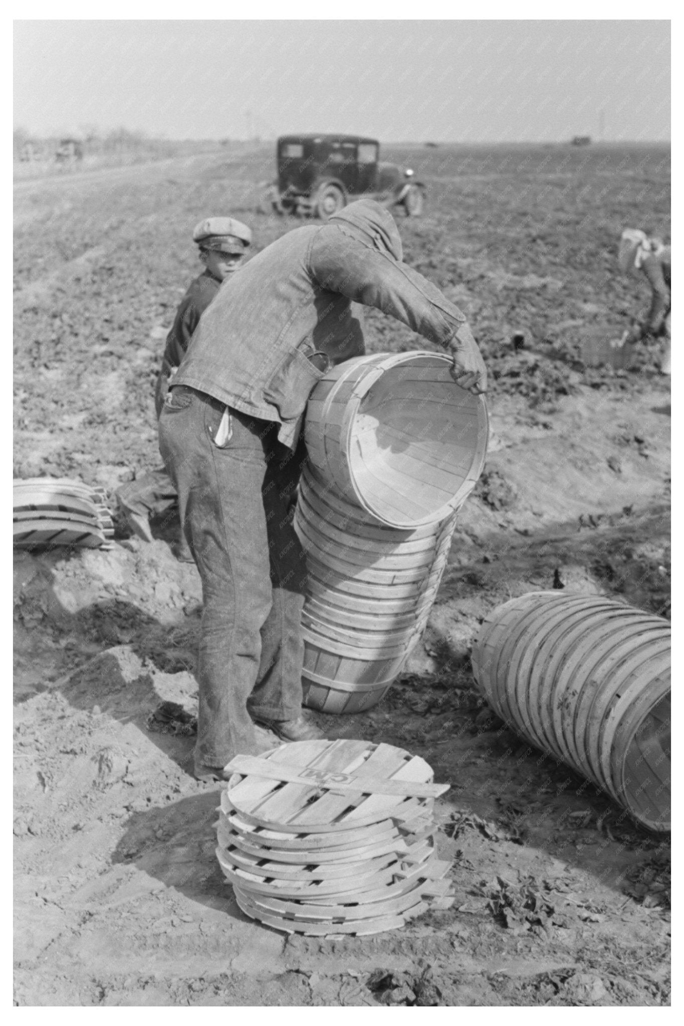 1939 Workers Stacking Baskets for Spinach Harvest in Texas - Available at KNOWOL