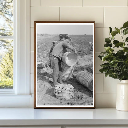 1939 Workers Stacking Baskets for Spinach Harvest in Texas - Available at KNOWOL