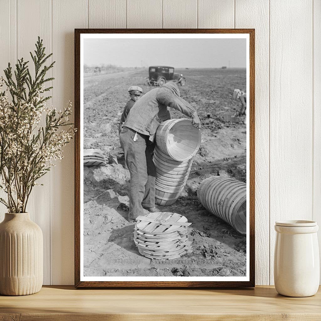 1939 Workers Stacking Baskets for Spinach Harvest in Texas - Available at KNOWOL