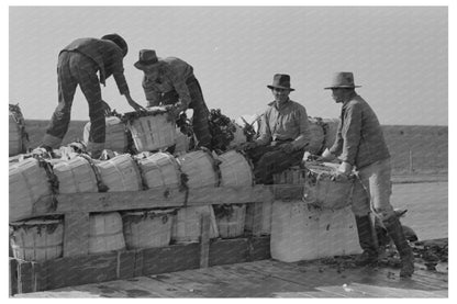 1939 Workers Unloading Spinach in La Pryor Texas - Available at KNOWOL