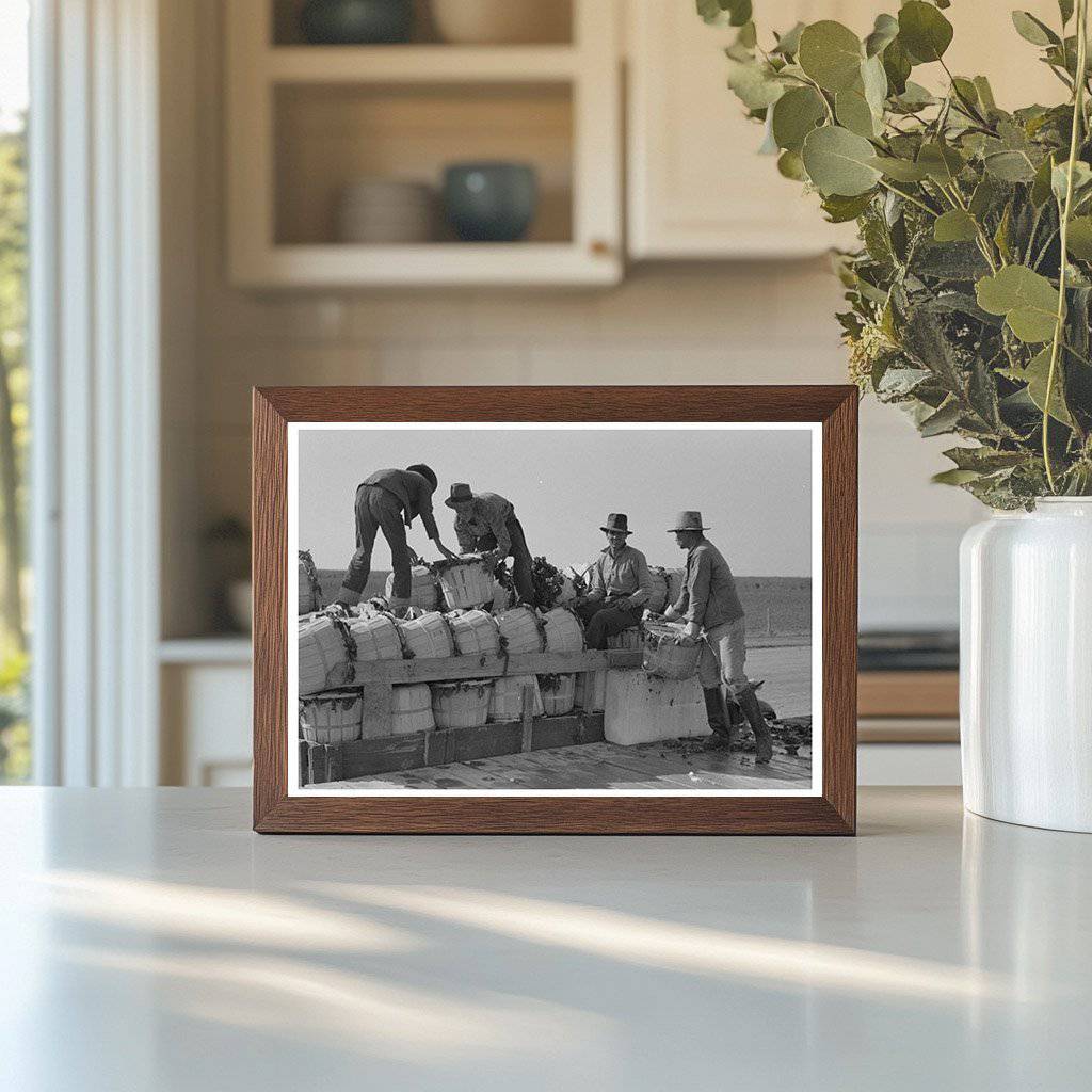 1939 Workers Unloading Spinach in La Pryor Texas - Available at KNOWOL