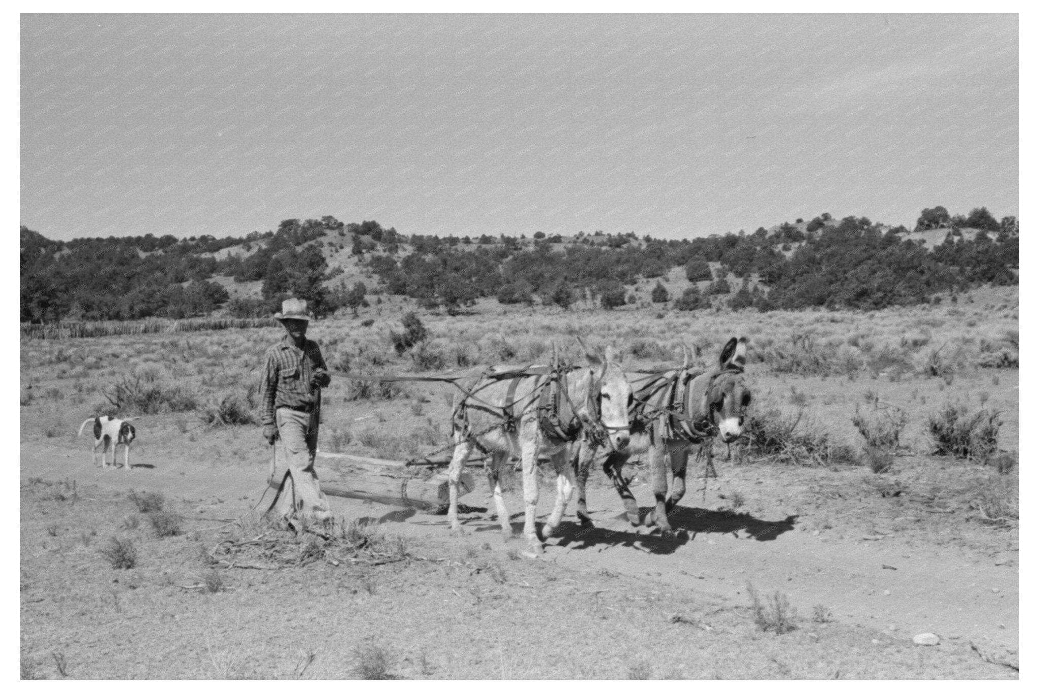 1940 Community Collaboration in Pie Town New Mexico - Available at KNOWOL