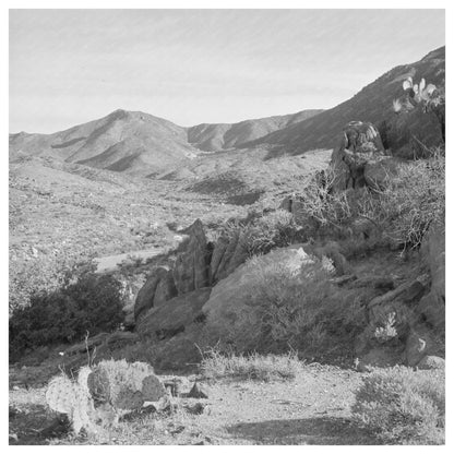 1940 Desert Landscape near Kingman Arizona with Cacti and Sagebrush - Available at KNOWOL