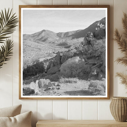 1940 Desert Landscape near Kingman Arizona with Cacti and Sagebrush - Available at KNOWOL