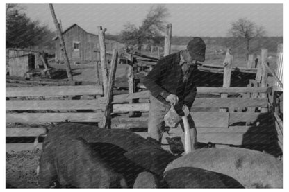 1940 Farm Life Children Mixing Hog Feed in Oklahoma - Available at KNOWOL