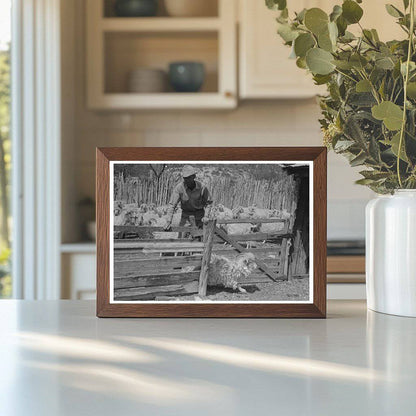 1940 Ranch in Kimble County Texas Goat Separation Photo - Available at KNOWOL