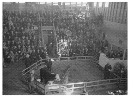 1940 San Angelo Fat Stock Show Grand Champion Bull Auction - Available at KNOWOL