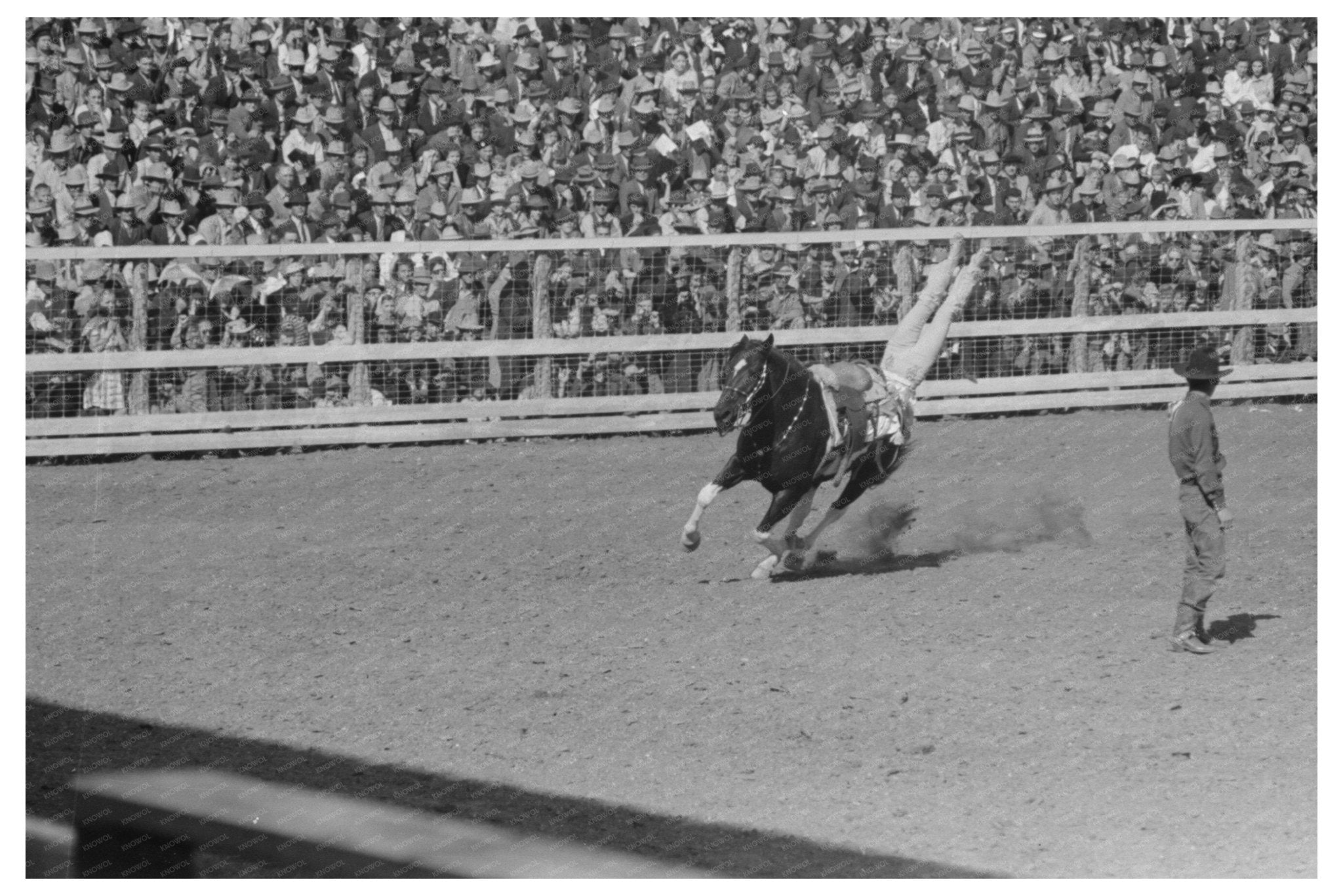 1940 San Angelo Fat Stock Show Riding Demonstration - Available at KNOWOL