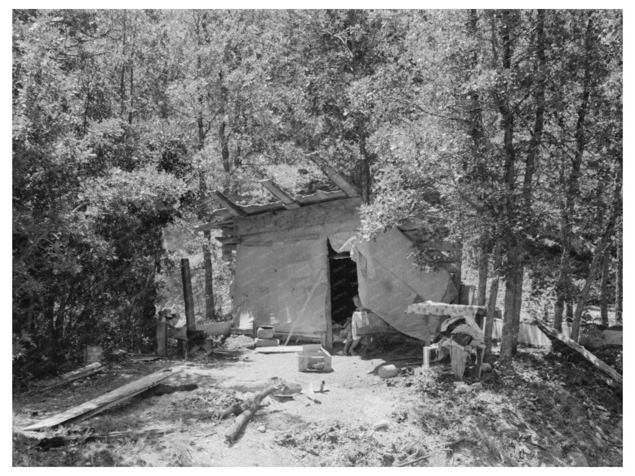 1940 Temporary Dwelling for Tie Hewers in Pie Town NM - Available at KNOWOL