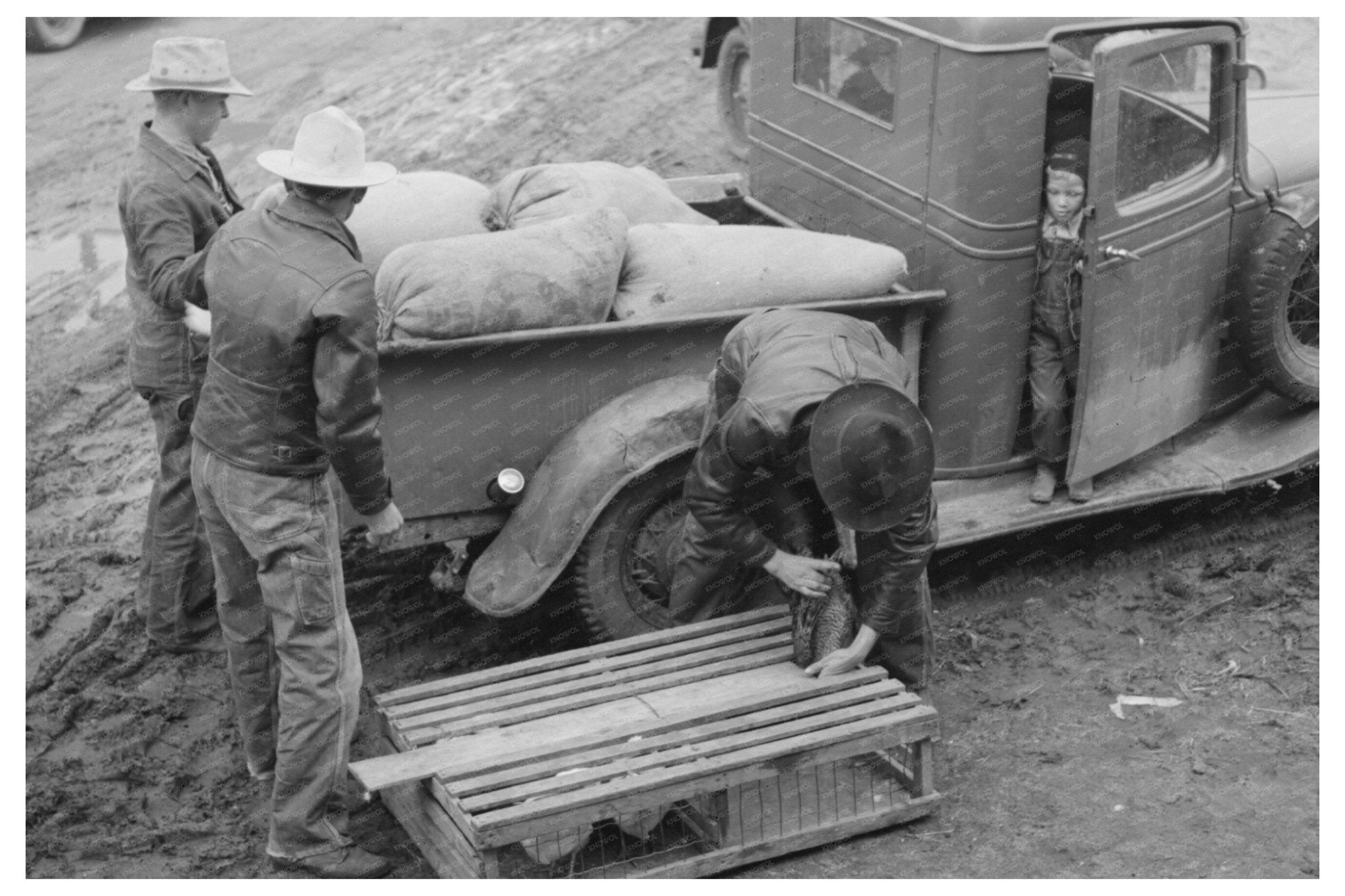 1940 Unloading Chickens at Poultry House Eufaula Oklahoma - Available at KNOWOL