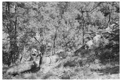 1940 Vintage Image of Sawing Logs in Pie Town New Mexico - Available at KNOWOL