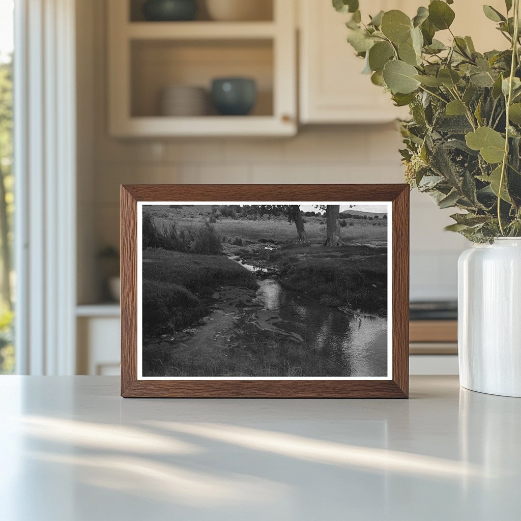 1940 Vintage Photo of Concho Arizona Irrigation System - Available at KNOWOL