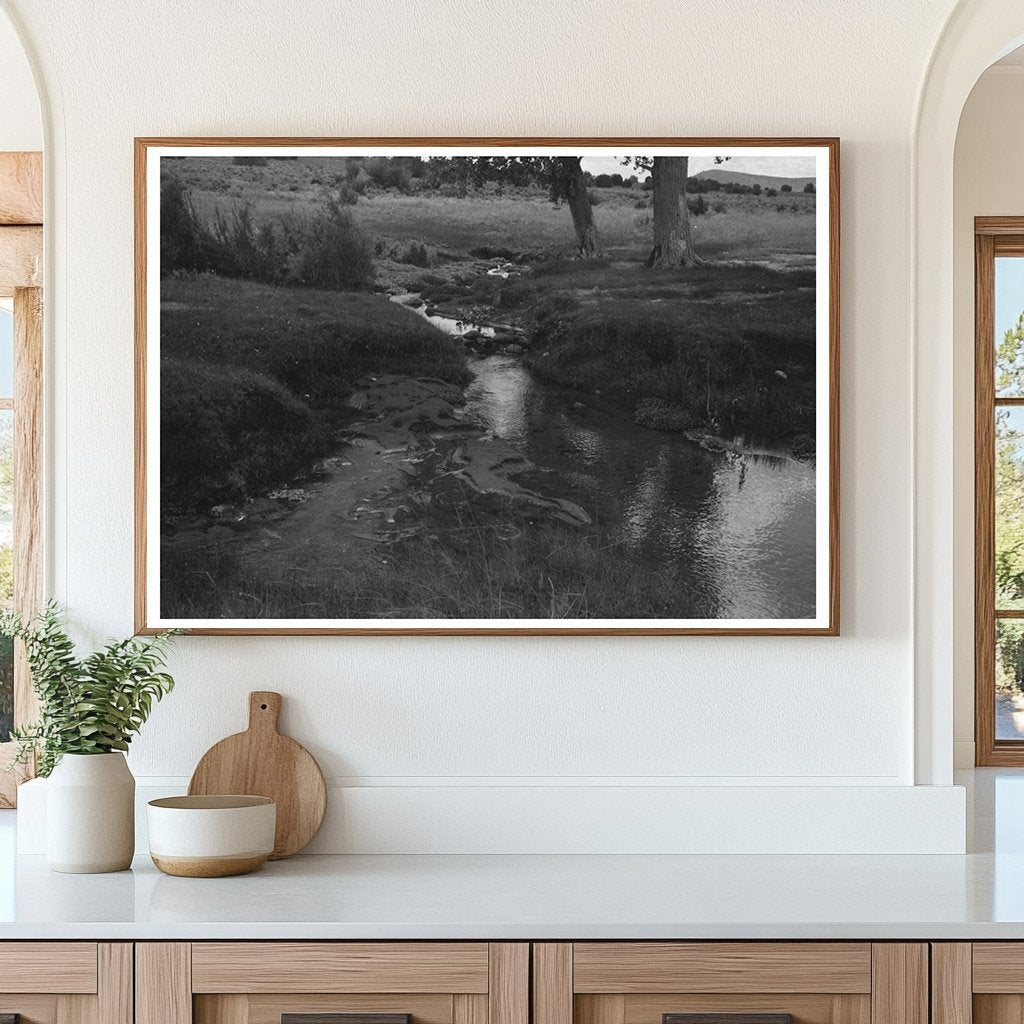 1940 Vintage Photo of Concho Arizona Irrigation System - Available at KNOWOL