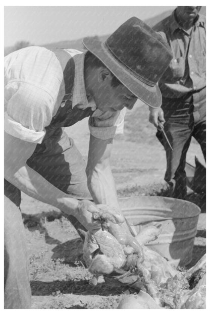 1940 Vintage Photograph of Hog Liver Removal in New Mexico - Available at KNOWOL