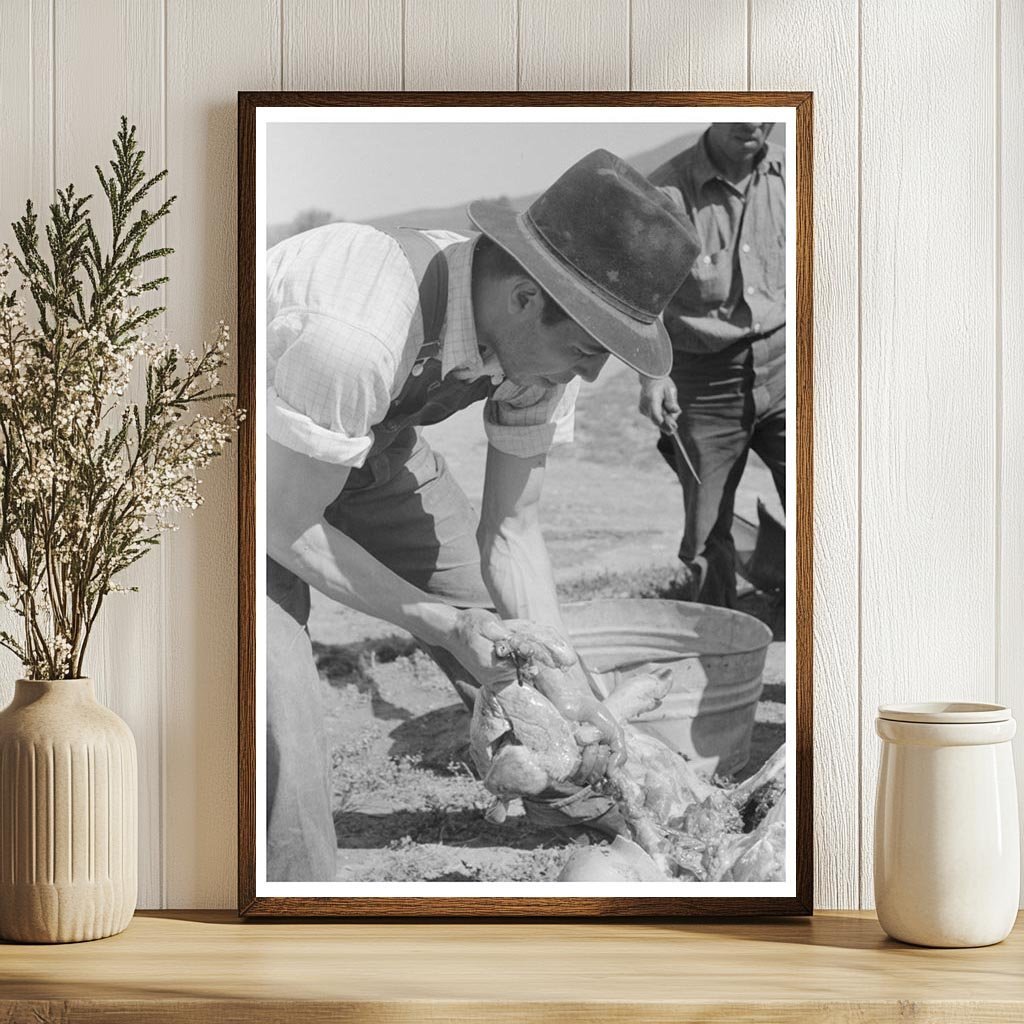 1940 Vintage Photograph of Hog Liver Removal in New Mexico - Available at KNOWOL