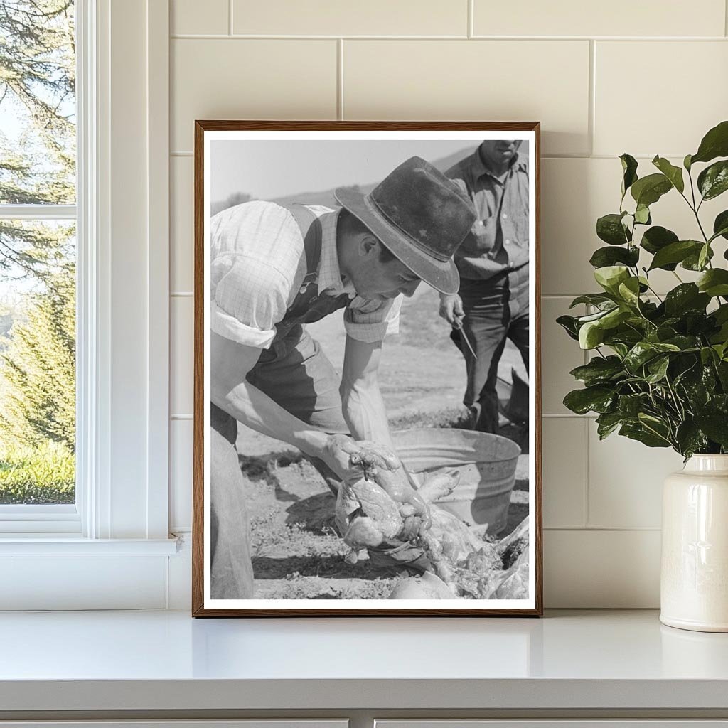 1940 Vintage Photograph of Hog Liver Removal in New Mexico - Available at KNOWOL