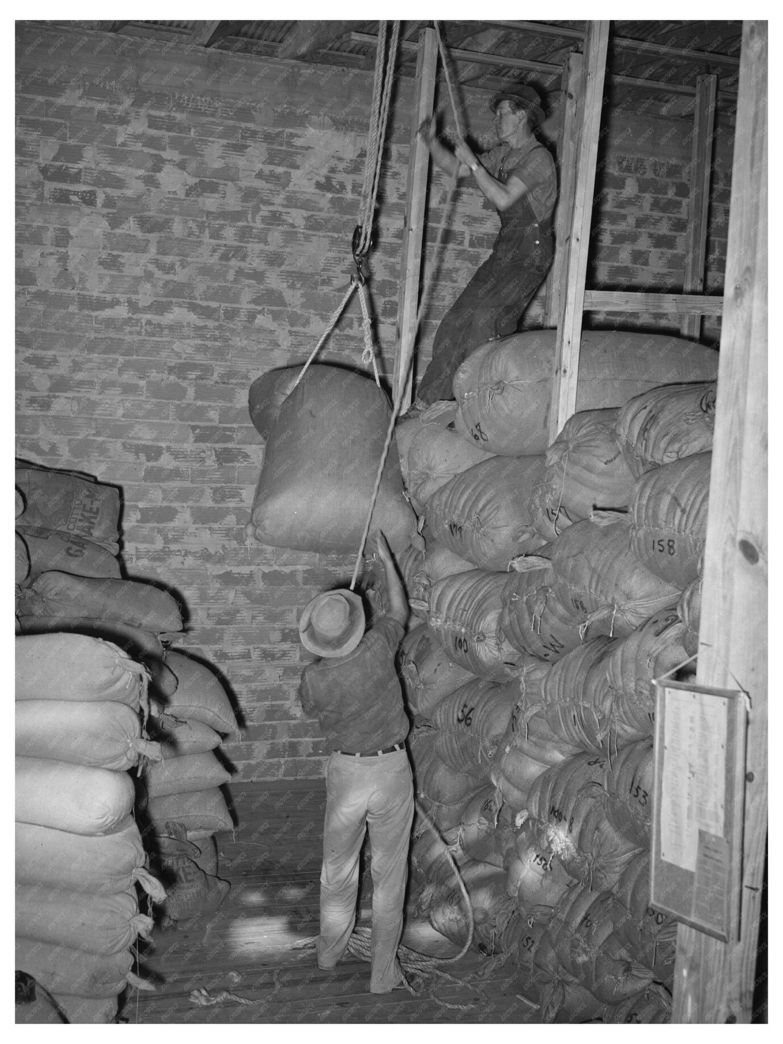 1940 Workers Hoisting Mohair Sack in Texas Warehouse - Available at KNOWOL