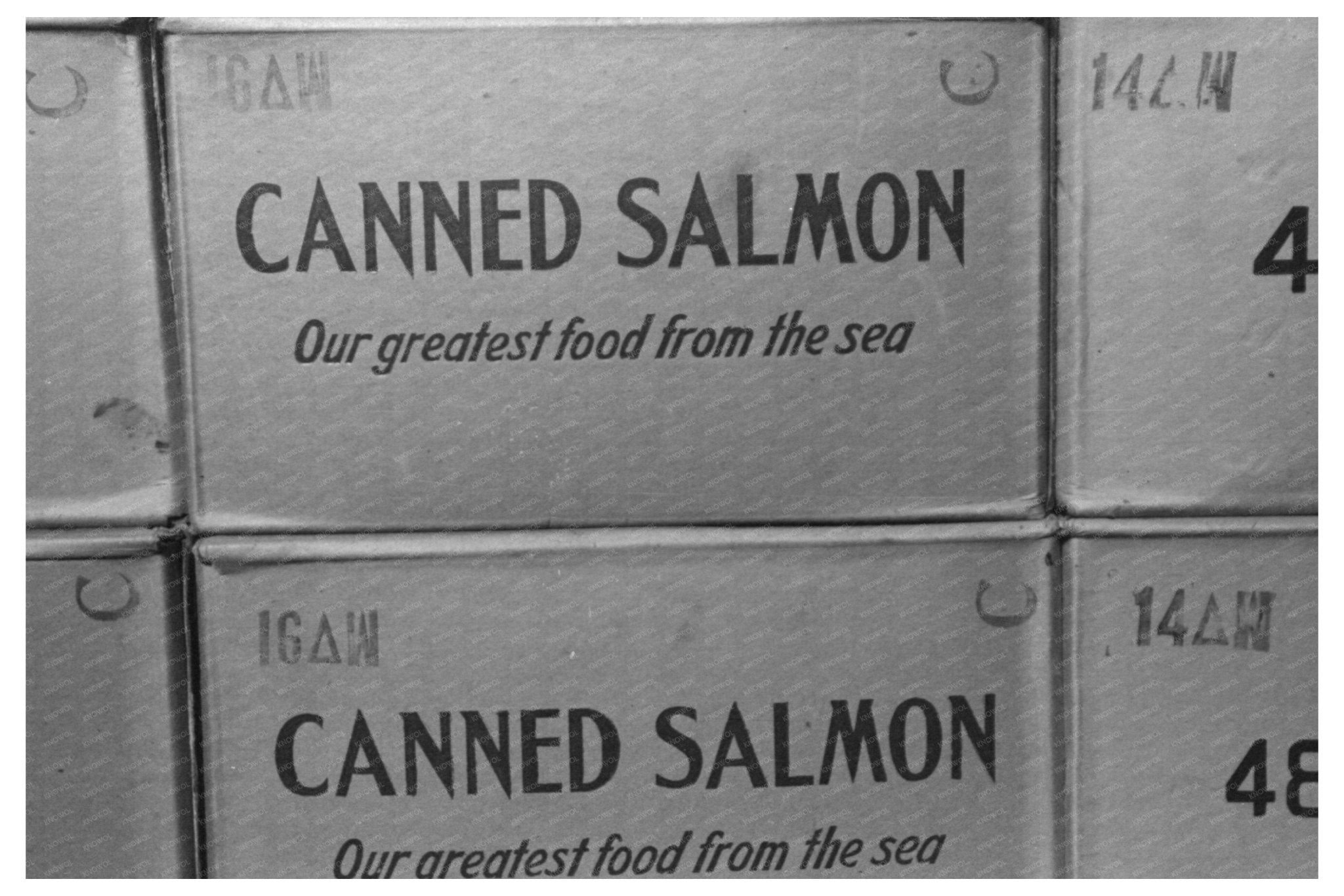 1941 Astoria Oregon Warehouse Canned Salmon Cases - Available at KNOWOL