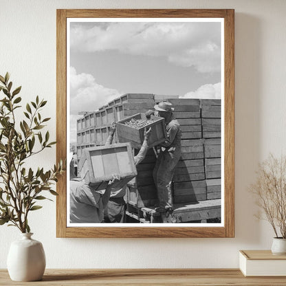 1941 Black and White Photo of Workers Loading Peas Nampa Idaho - Available at KNOWOL