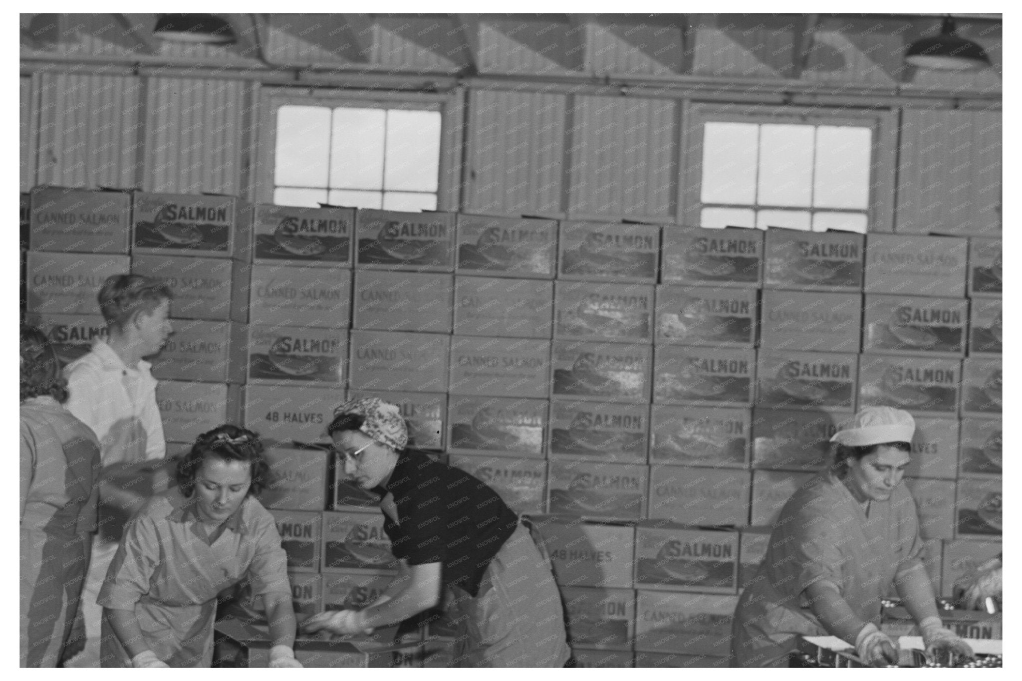 1941 Canned Salmon Packing at Columbia River Packing Association - Available at KNOWOL