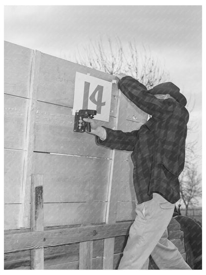 1941 Cornhusking Contest Preparation in Ontario Oregon - Available at KNOWOL