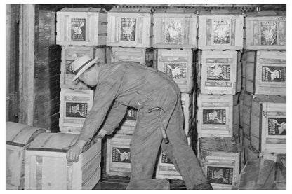 1941 Crates of Lettuce for Shipment in Canyon County Idaho - Available at KNOWOL