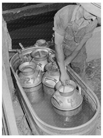 1941 Dairymen Cooperative Creamery Milk Cooling in Idaho - Available at KNOWOL