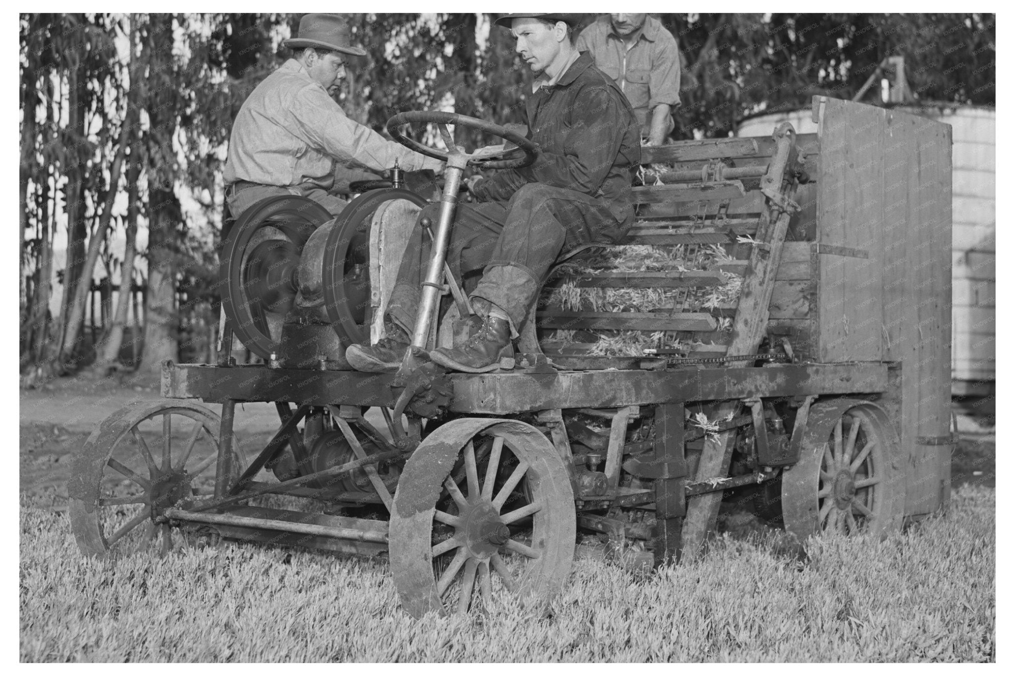 1941 Guayule Seedling Mower in Salinas California - Available at KNOWOL