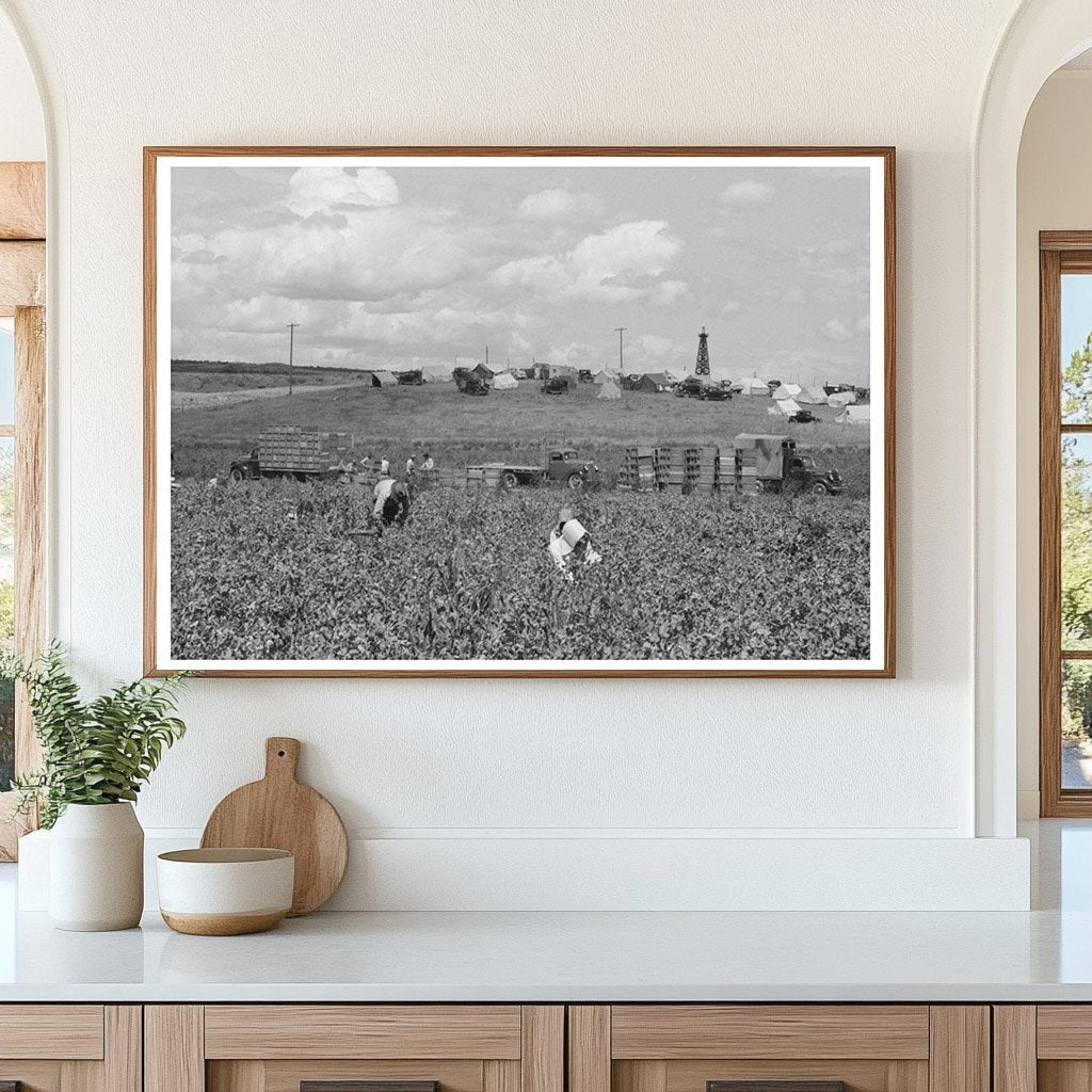 1941 Labor Crew in Pea Fields Nampa Idaho - Available at KNOWOL