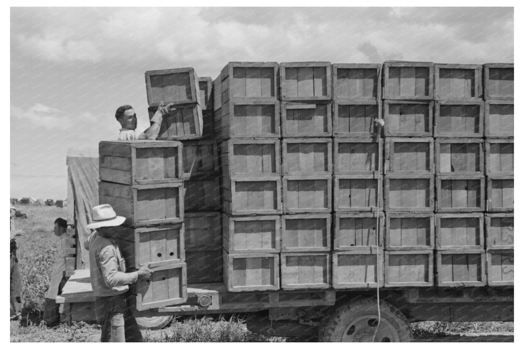 1941 Loading Peas at Contractors Camp in Nampa Idaho - Available at KNOWOL