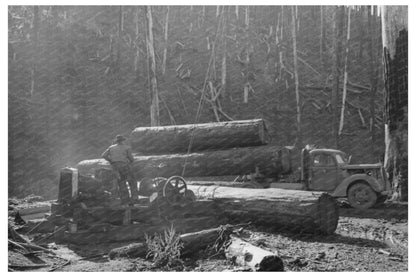 1941 Logging Operations in Tillamook County Oregon - Available at KNOWOL