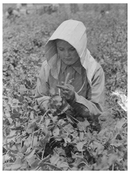 1941 Pea Picking Crew in Nampa Idaho - Available at KNOWOL