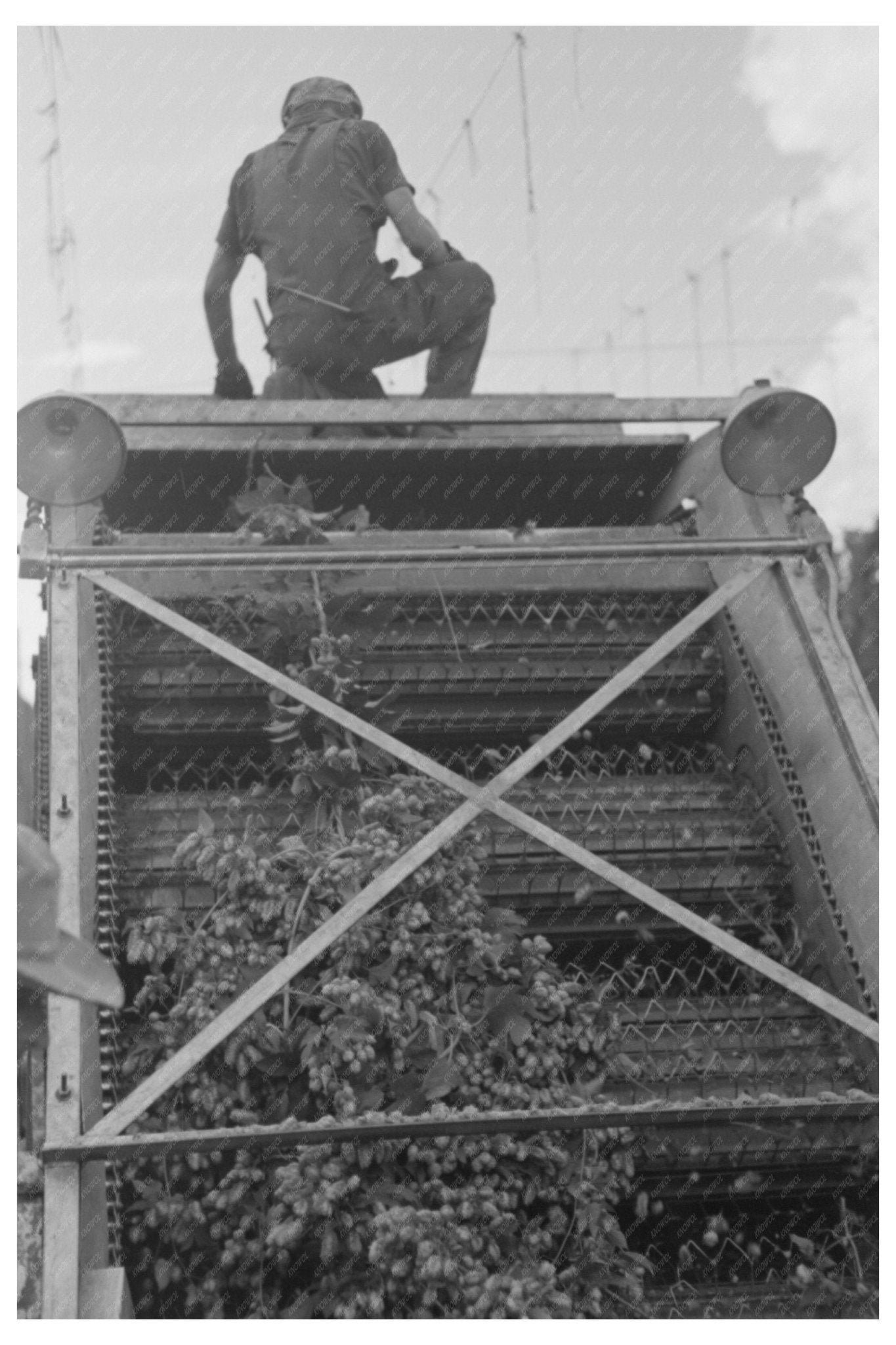 1941 Portable Mechanical Hop Picker Cleaning Apparatus - Available at KNOWOL