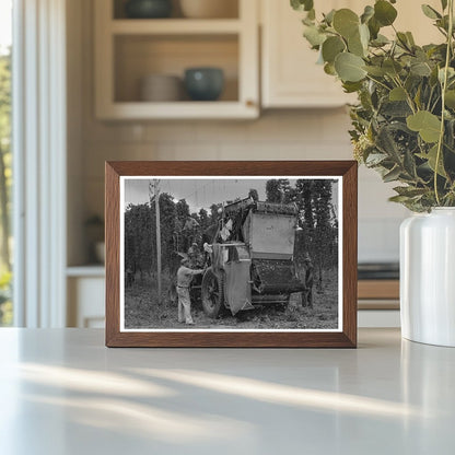 1941 Portable - Type Mechanical Hop Picker in Yakima County - Available at KNOWOL