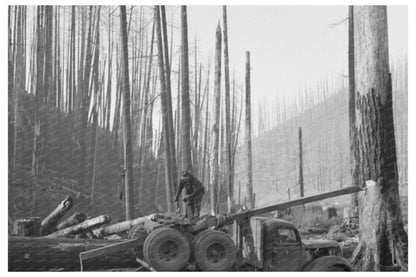 1941 Truck and Trailer for Hauling Logs in Oregon - Available at KNOWOL