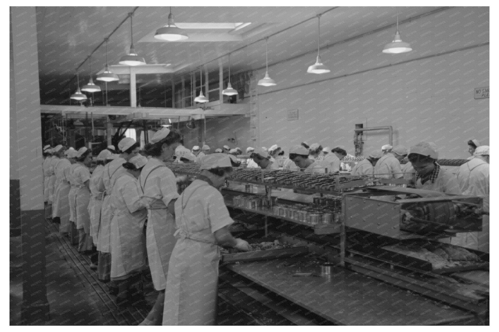 1941 Tuna Packing Process at Columbia River Association - Available at KNOWOL